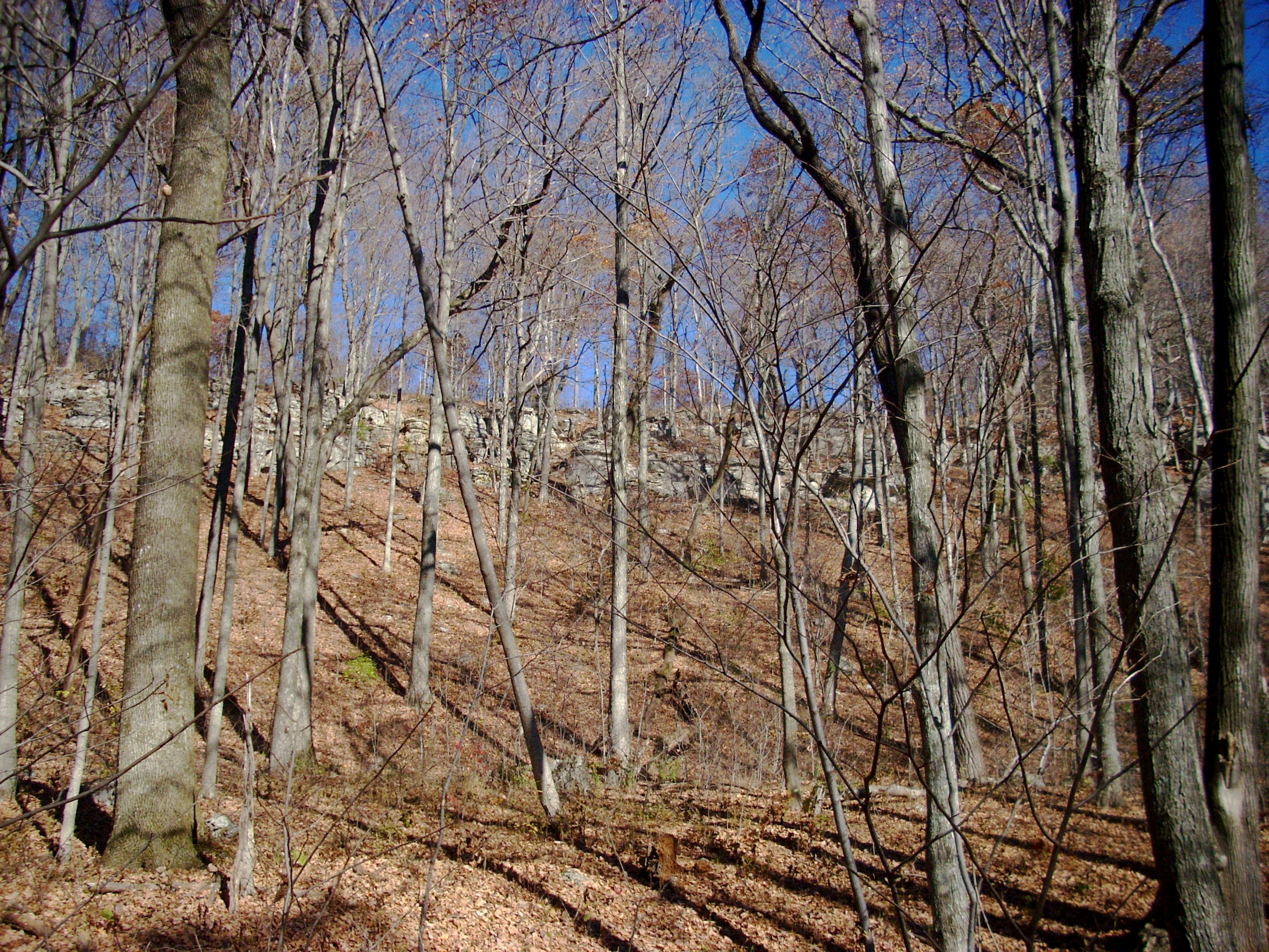 The Pinnacles